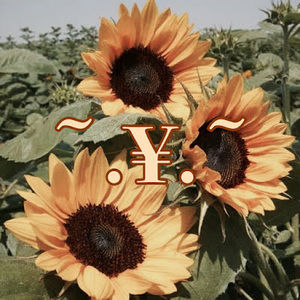 Meet your Posher, ᴠɪʀɢᴏ